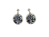Equilibrium Tree of Life Paua Shell Earrings
